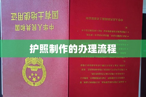 怀远护照制作的办理流程